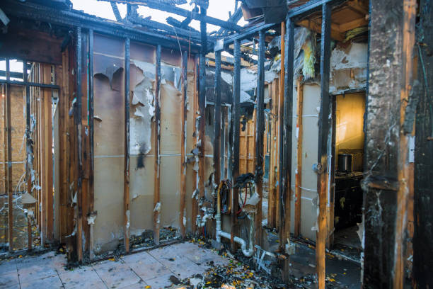 Professional Odor Removal technician working in Hamburg, MN