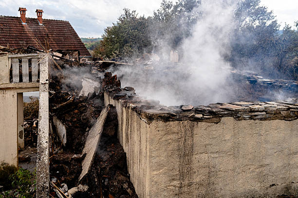 Affordable Odor Removal solutions in Hamburg, MN