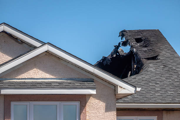 Top rated local Odor Removal specialists in Hamburg, MN